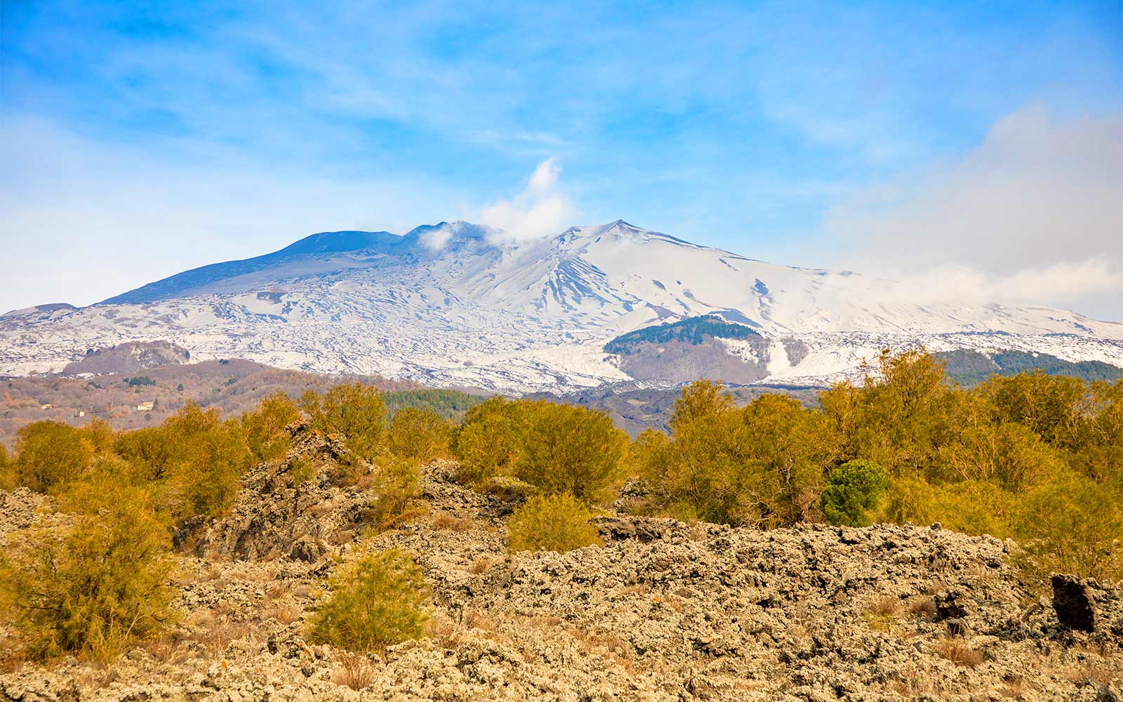 Vista sull'Etna