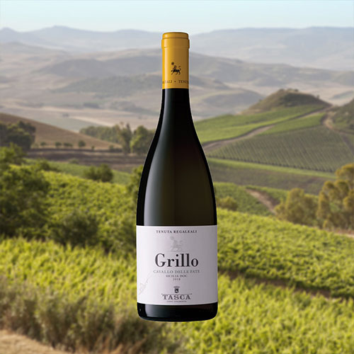 Grillo cavallo delle fate - vini viaggio in sicilia