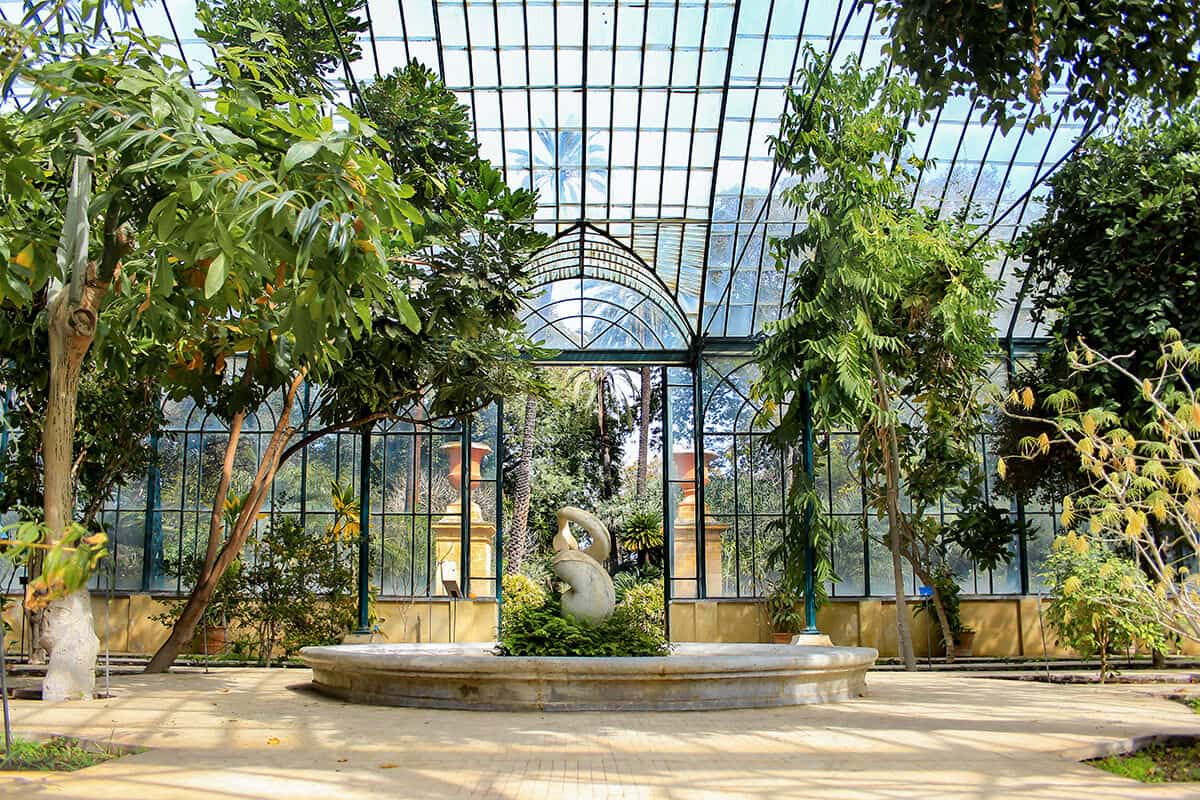 Orto Botanico di Palermo