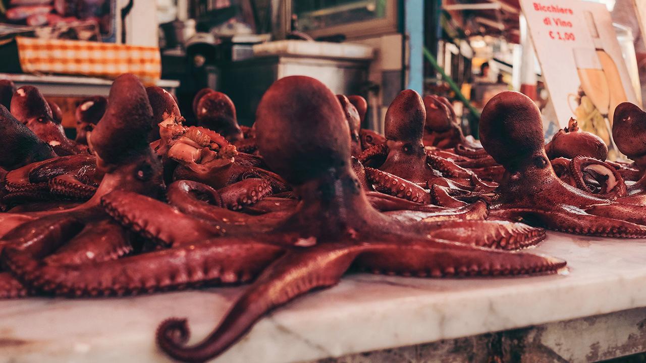 polpo street food palermo