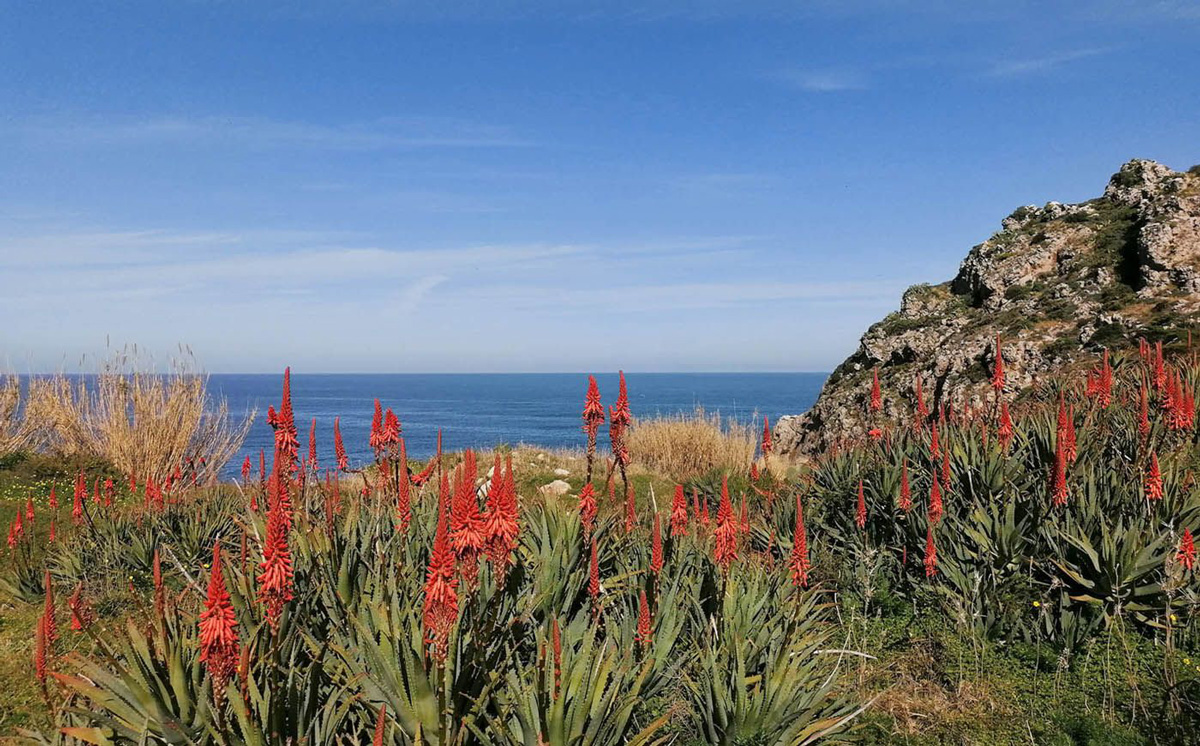 Le dune eoliche delle tre piscine di capo zafferano