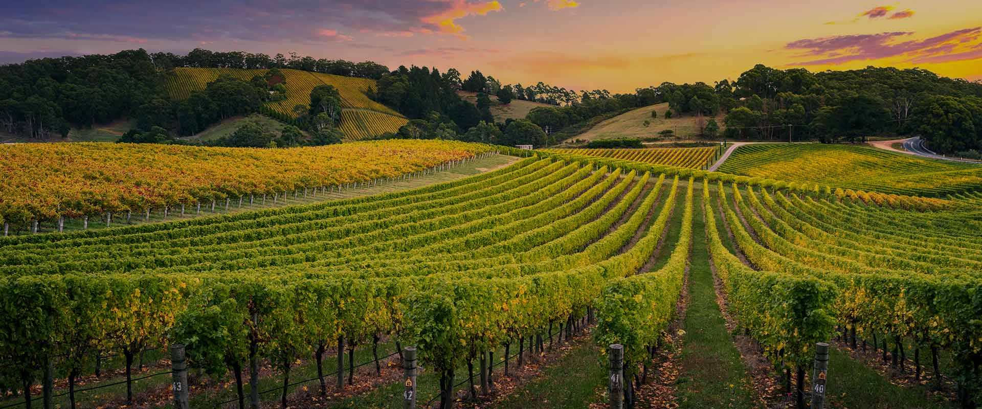 Vini siciliani, viaggio in sicilia